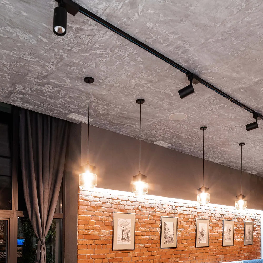 Magnetic Tracklight TEKLED LED Cylinder Magnetic Rotatable Track Light 20W 48V Cool White 4000K Black Finish(TEKLED)-169-03040--169-03040