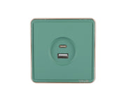 USB розетка (A+C тури), я/ў, SAKURA серияси