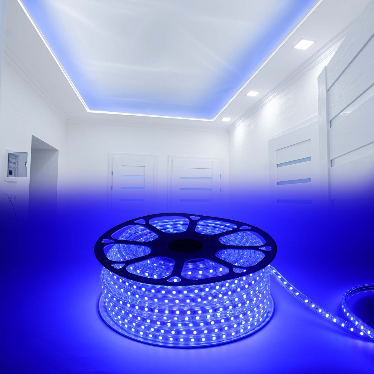LED лента 5050-60L 8W 220V кўк (HAIGER) 50м