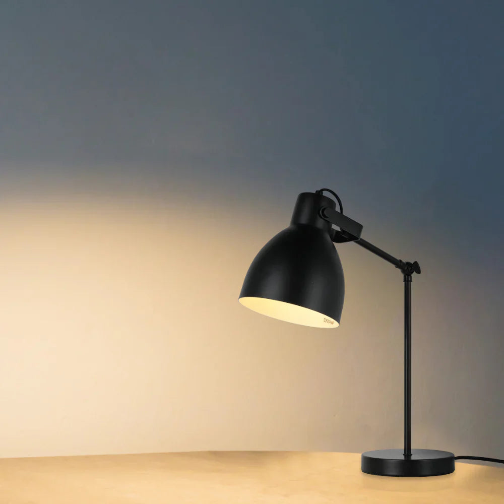 Adjustable Armature Desk Lamp 8