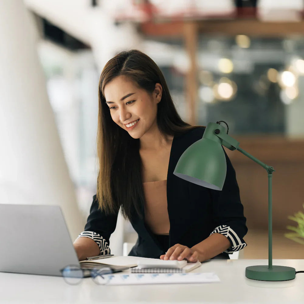 Adjustable Armature Desk Lamp