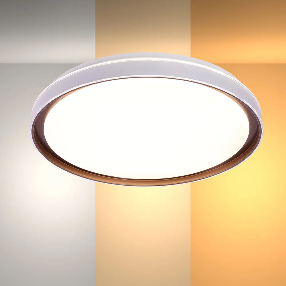 LED Flush Ceiling Light TEKLED LED Ceiling Lamp Purple D500 6000K/4000K/3000K 42Wx2(TEKLED)--165-16021