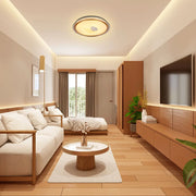 LED Flush Ceiling Light TEKLED LED Flush Ceiling Light Gold D500 6000K/4000K/3000K 42Wx2(TEKLED)--165-16036