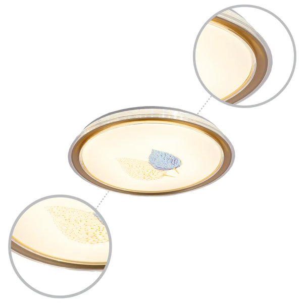 Details of the LED Flush Ceiling Light Gold D500 6000K/4000K/3000K 42Wx2(TEKLED)-165-16036