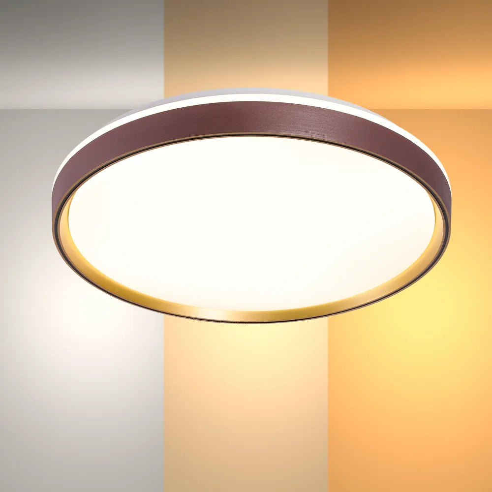 LED Flush Ceiling Light TEKLED LED Flush Ceiling Light Purple Gold D500 6000K/4000K/3000K 42Wx2(TEKLED)--165-16013