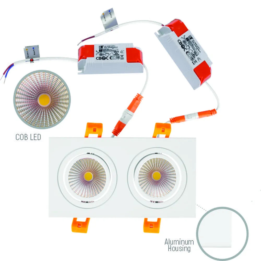 Details of the  LED OC003B 2х10W 4500K WHITE -165-153283-165-153283