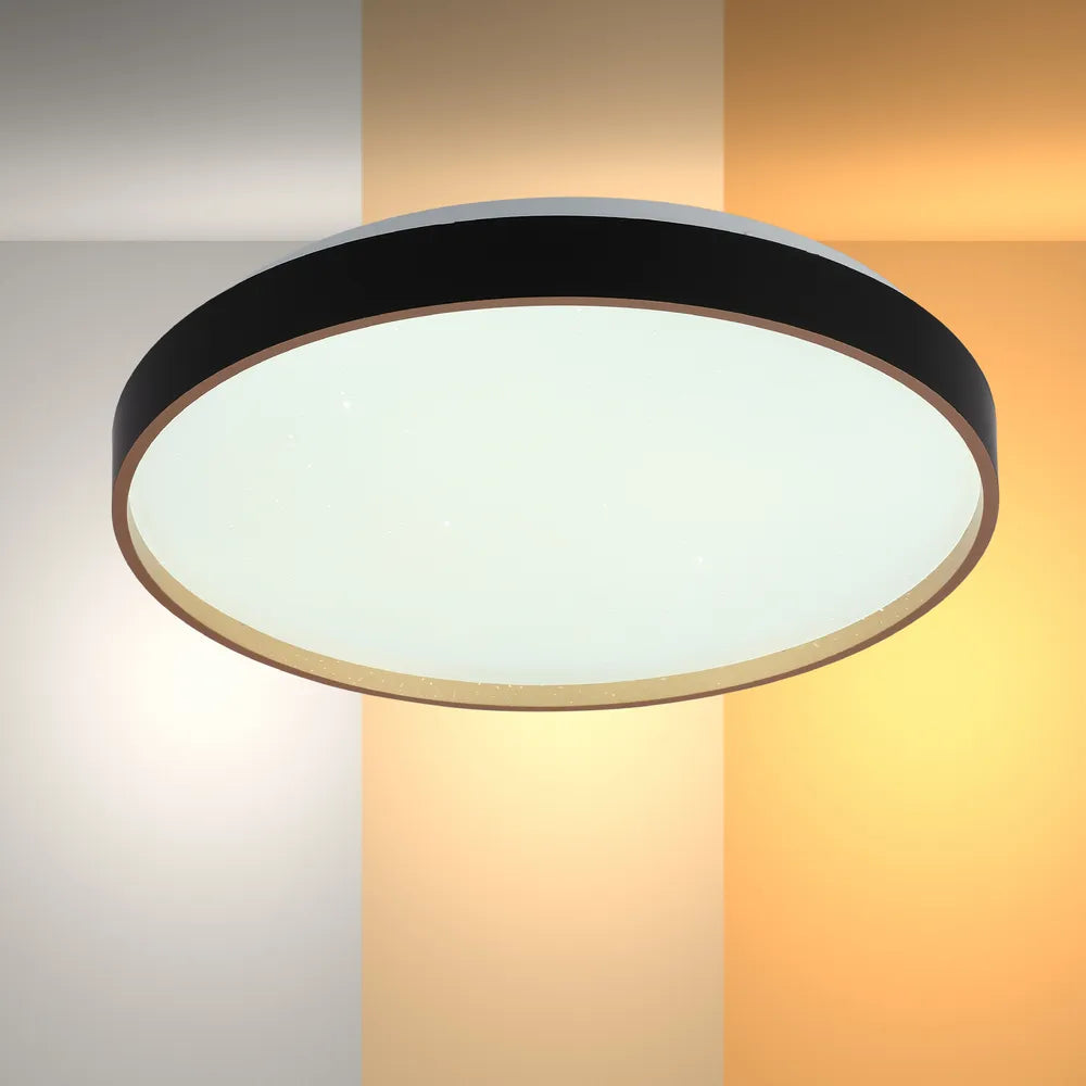 LED Flush Ceiling Light TEKLED LED Sparkling Flush Ceiling Light Black D400 6000K/4000K/3000K 27Wx2(TEKLED)--165-16016