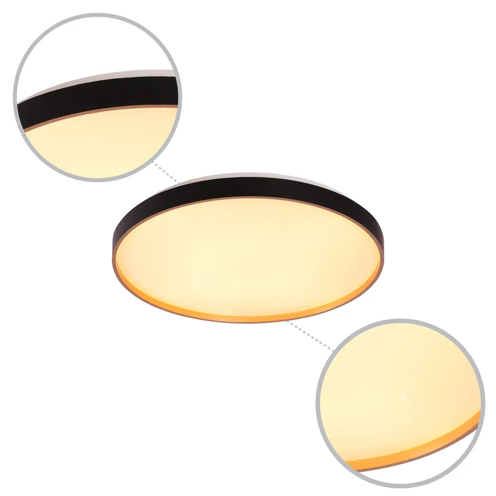 Details of the LED Sparkling Flush Ceiling Light Black D500 6000K/4000K/3000K 42Wx2(TEKLED)-165-16017