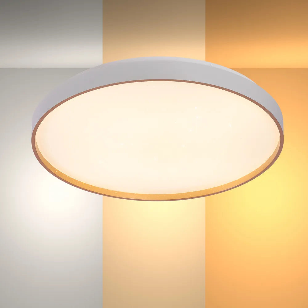 LED Flush Ceiling Light TEKLED LED Sparkling Flush Ceiling Light White D500 6000K/4000K/3000K 42Wx2(TEKLED)--165-16019