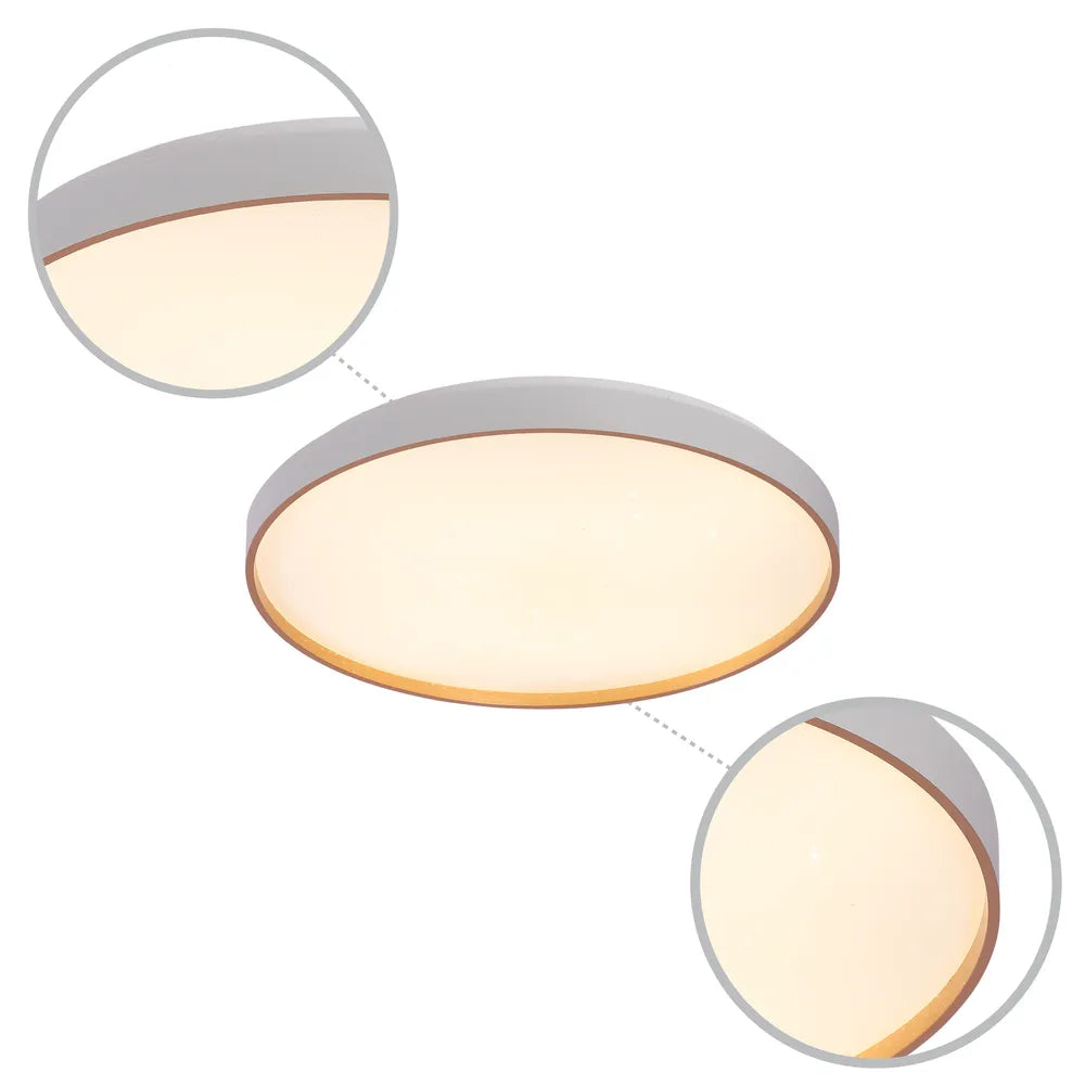 Details of the LED Sparkling Flush Ceiling Light White D500 6000K/4000K/3000K 42Wx2(TEKLED)-165-16019